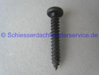rollladen-blechschraube 4,2x25-klein